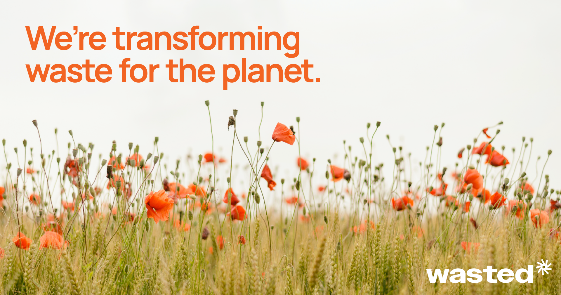 Field of poppies with words We're transforming waste for the planet