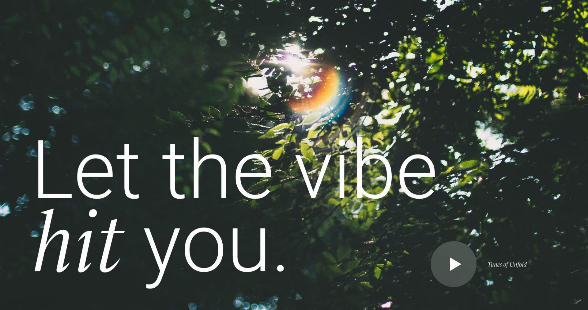 Let the vibe hit you.