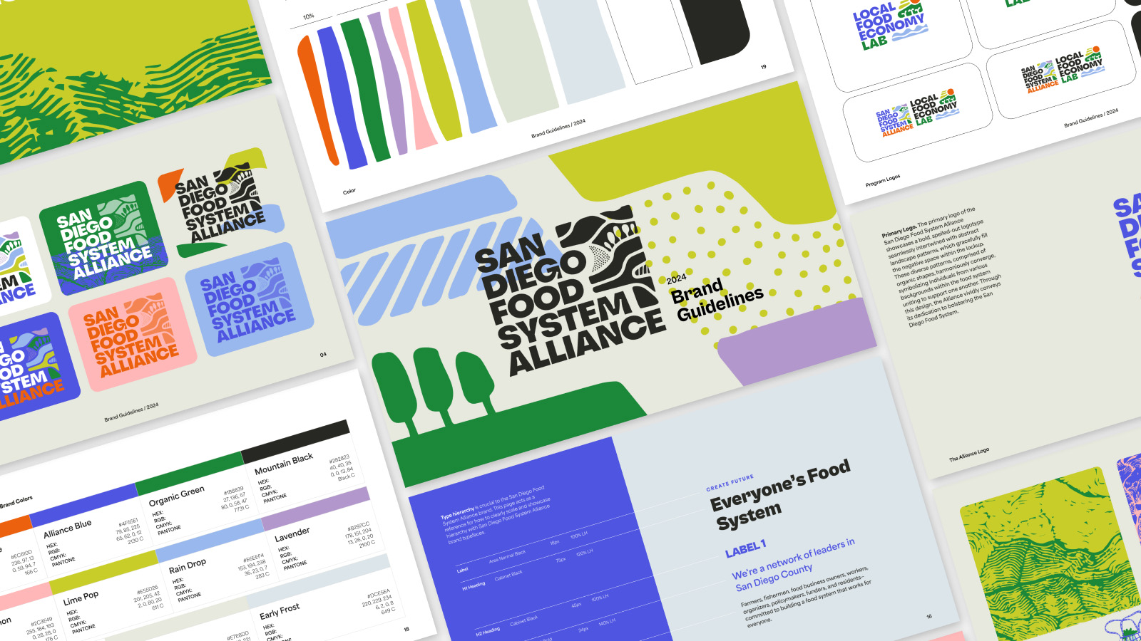 SDFSA Brand Guide