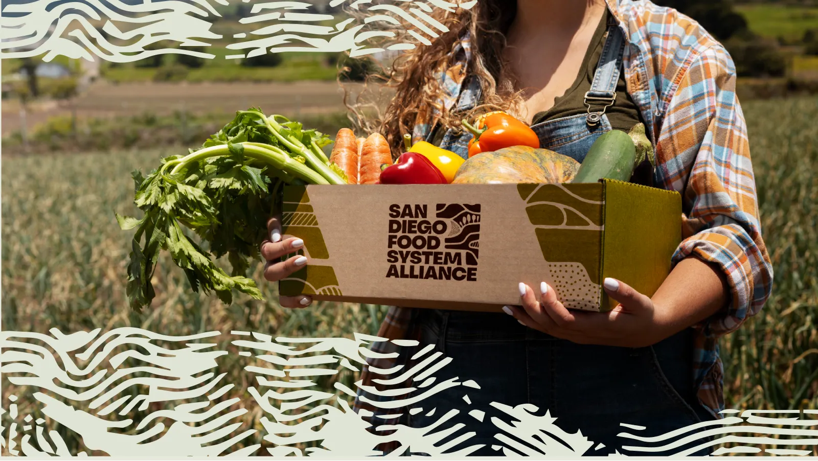SDFSA Farm Box