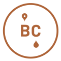 Four-FinBC_Mark Four-FinBC_Mark